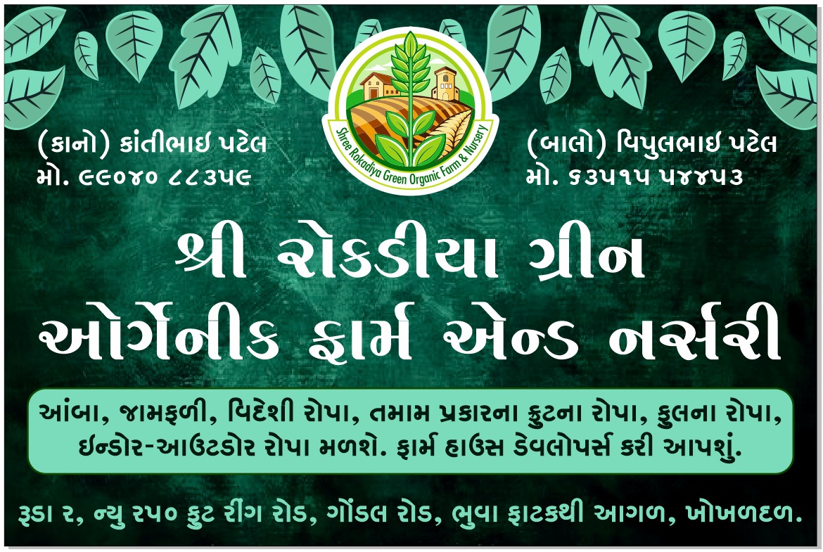Shree Rokadiya Green narshry નો પ્રોફાઇલ ફોટો